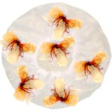 Mac kenzie-Childs - Designer Shower Caps 