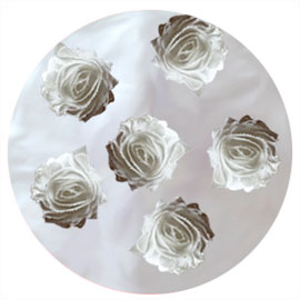 1053 - Shabby Chic