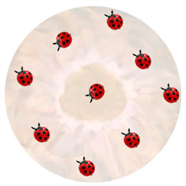 801 - Lady Bugs
