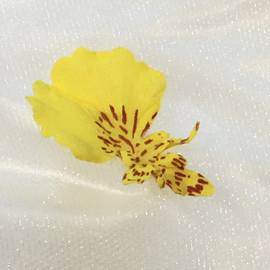 Shower Cap - Butterfingers 1023 - Butterfingers, Shower Cap