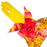 Designer Dish Glove